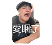 855766057