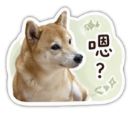 855767120