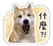 855767125
