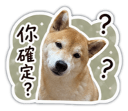 855767145