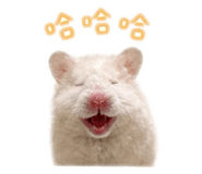 855767404