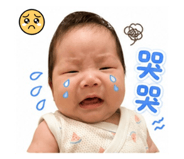 855768412