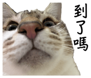 855768486