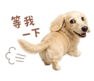 855768586