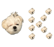 855768879