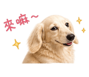 855768905