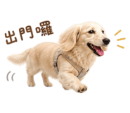 855768908