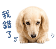 855768911