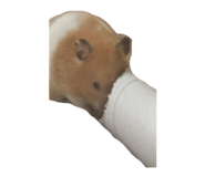 855768965