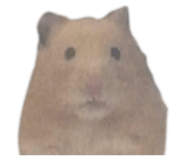 855768970