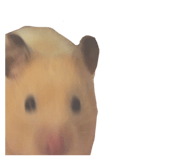 855768973