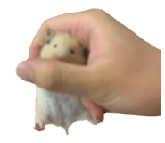 855768976