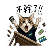 855770378