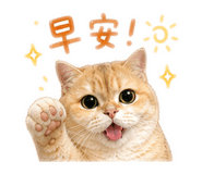 855770482