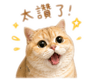 855770485