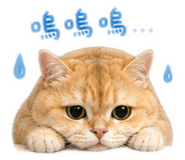 855770486