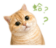 855770487