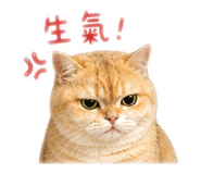 855770491