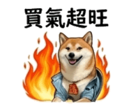 855770604