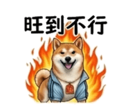 855770609