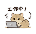 855772211