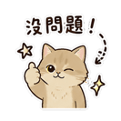 855772216