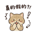 855772217