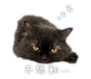 855773382