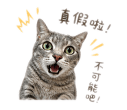855773449