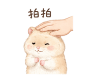 855774244