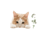 855774476