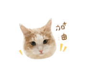 855774482