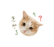855774483