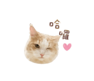 855774494