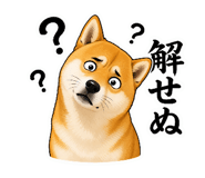 855774561