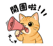 855775334
