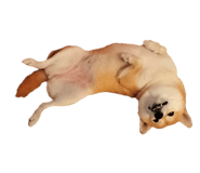 855775769