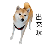 855775770