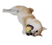 855775772