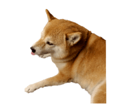 855775774