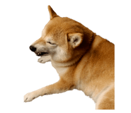 855775775