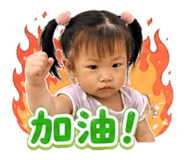 855776016