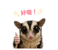 855776315