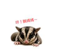 855776319