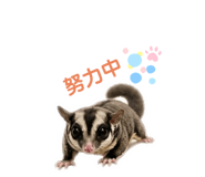 855776325