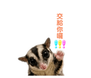 855776329