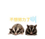 855776332