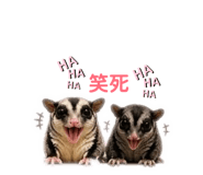 855776335