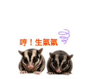 855776336