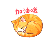 855776617